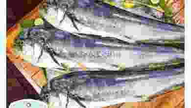 el3rod.com00001-621