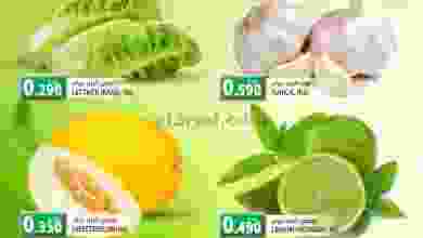 el3rod.com00001-634
