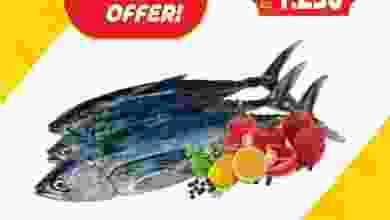 el3rod.com00001-636