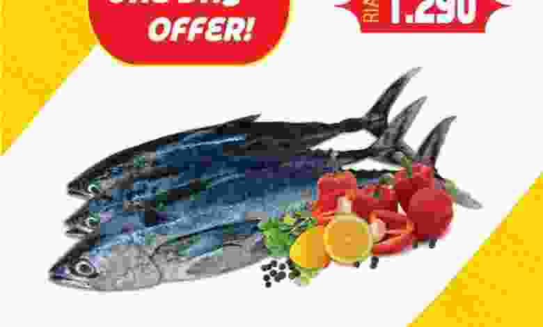 el3rod.com00001-636