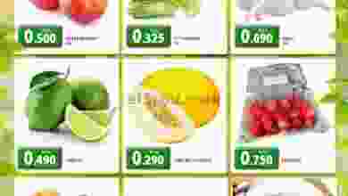 el3rod.com00001-668