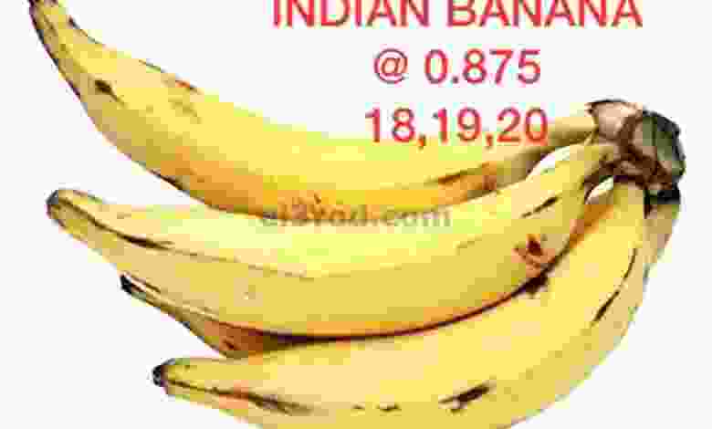 el3rod.com00001-686