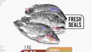 el3rod.com00001-687