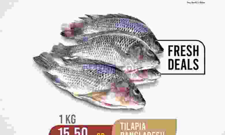el3rod.com00001-687
