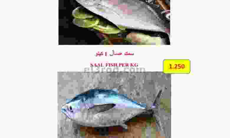 el3rod.com00001-689