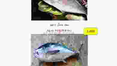 عروض الكرامة هايبر السويق عمان 22 حتى 23-8-2021 el3rod.com00001-779
