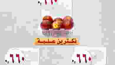 el3rod.com00001-801