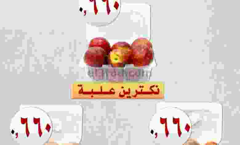 el3rod.com00001-801