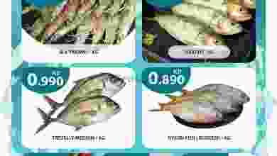 el3rod.com00001-827