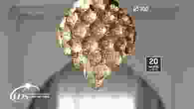 el3rod.com00001-83