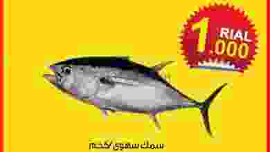 el3rod.com00001-838