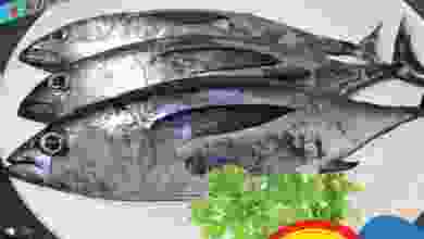 el3rod.com00002-847