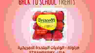el3rod.com00004-645