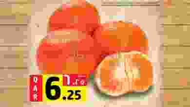 el3rod.com00005-33