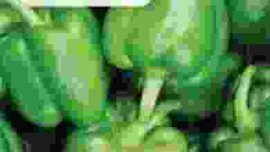 el3rod.com00001-10
