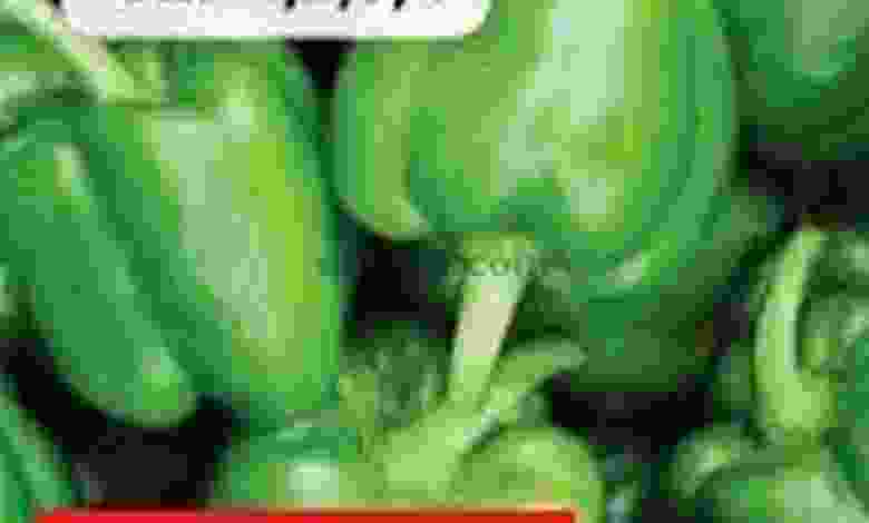 el3rod.com00001-10