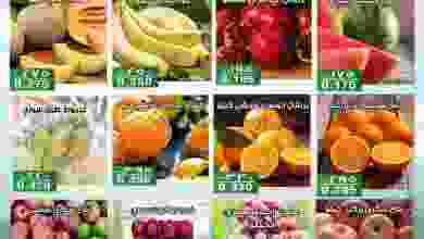 el3rod.com00001-1167