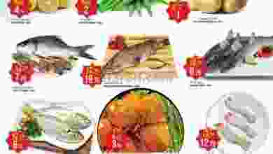 el3rod.com00001-1203