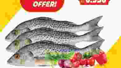 el3rod.com00001-125