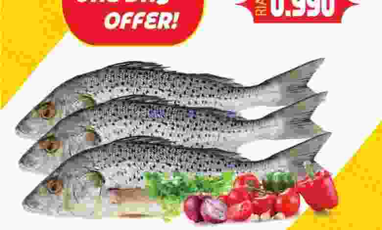 el3rod.com00001-125