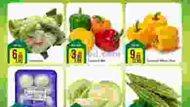 el3rod.com00001-145