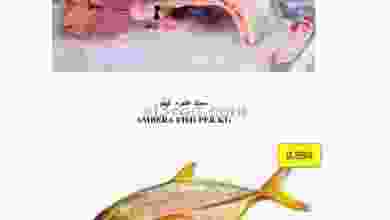 el3rod.com00001-161