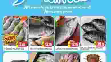 el3rod.com00001-242