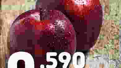 el3rod.com00001-359