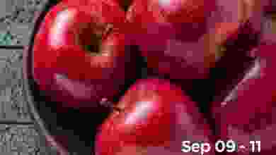el3rod.com00001-368