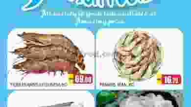 el3rod.com00001-369