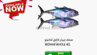 el3rod.com00001-420