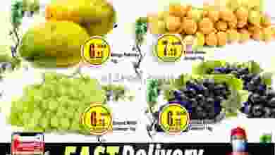 el3rod.com00001-463