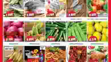 el3rod.com00001-53