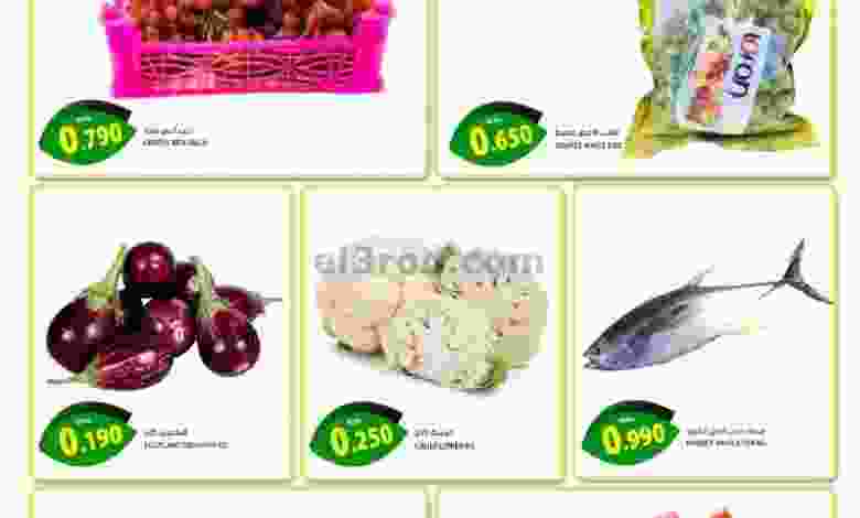 el3rod.com00001-572