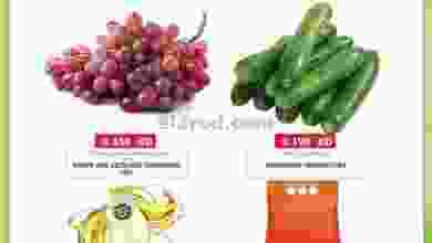 el3rod.com00001-597