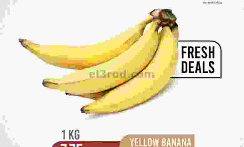 el3rod.com00001-640