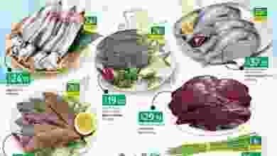 el3rod.com00001-672