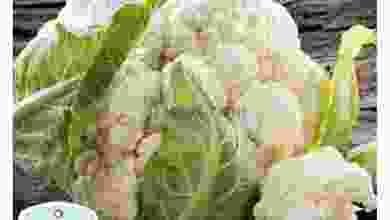 el3rod.com00001-718