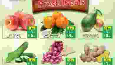 el3rod.com00001-779