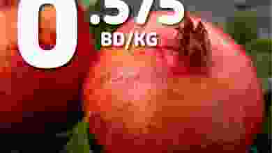el3rod.com00001-780