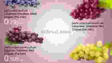 el3rod.com00001-841