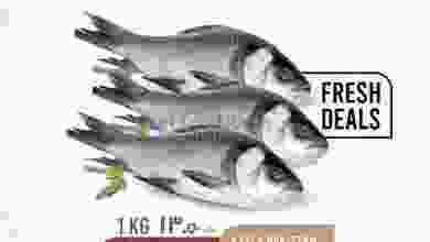 el3rod.com00001-854