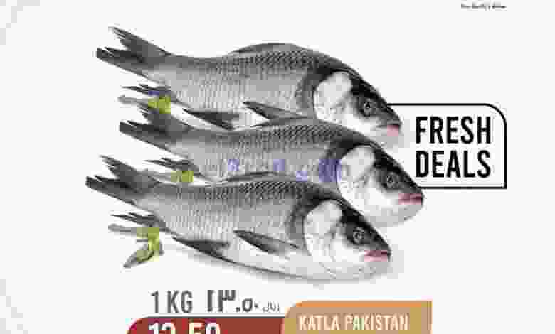 el3rod.com00001-854