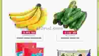 el3rod.com00001-876