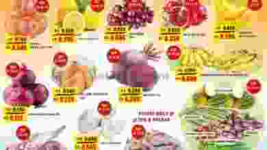 el3rod.com00001-920