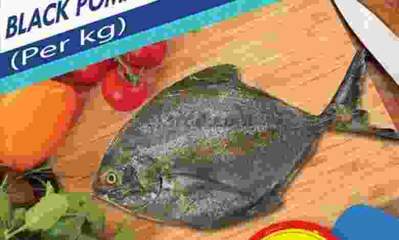 el3rod.com00002-1003