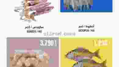 el3rod.com00002-616