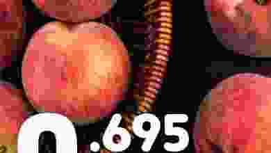 el3rod.com00002-989