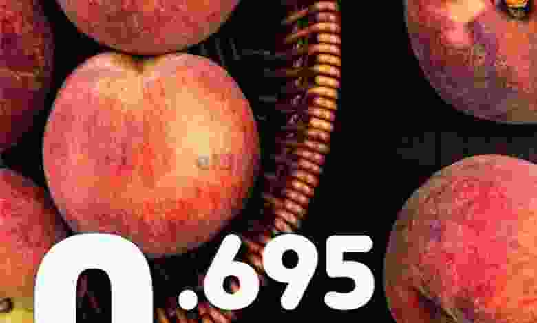 el3rod.com00002-989