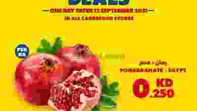 el3rod.com00003-314